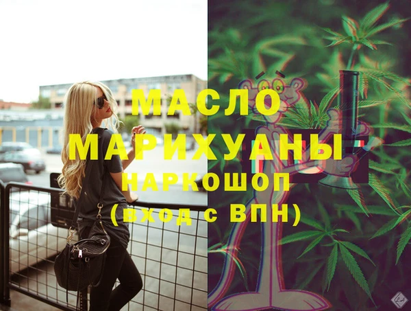 индика Гусиноозёрск