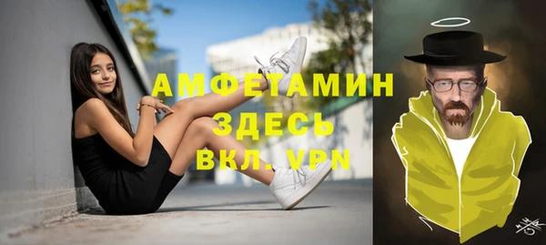 индика Гусиноозёрск