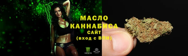 хмурый Шадринск