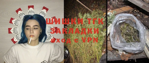 винт Гусев