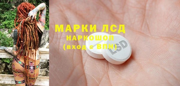 индика Гусиноозёрск