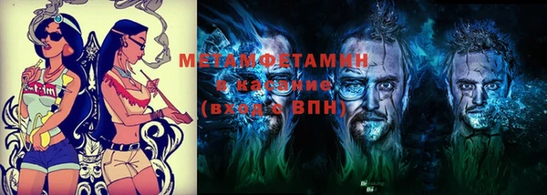 индика Гусиноозёрск