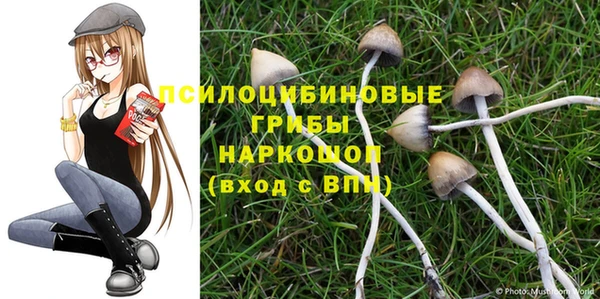 индика Гусиноозёрск